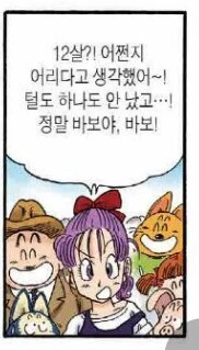 손오공이 부르마를 만났을 때 14살 아님 - 이미지 3