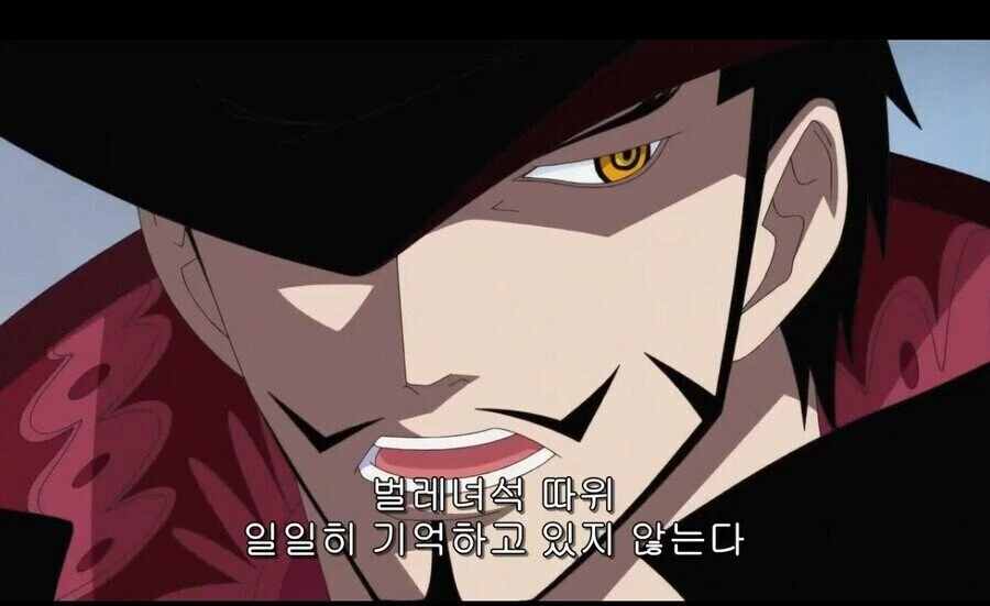 [원피스]나약한 놈들은 일일히 기억하고 있지 않은 미호크