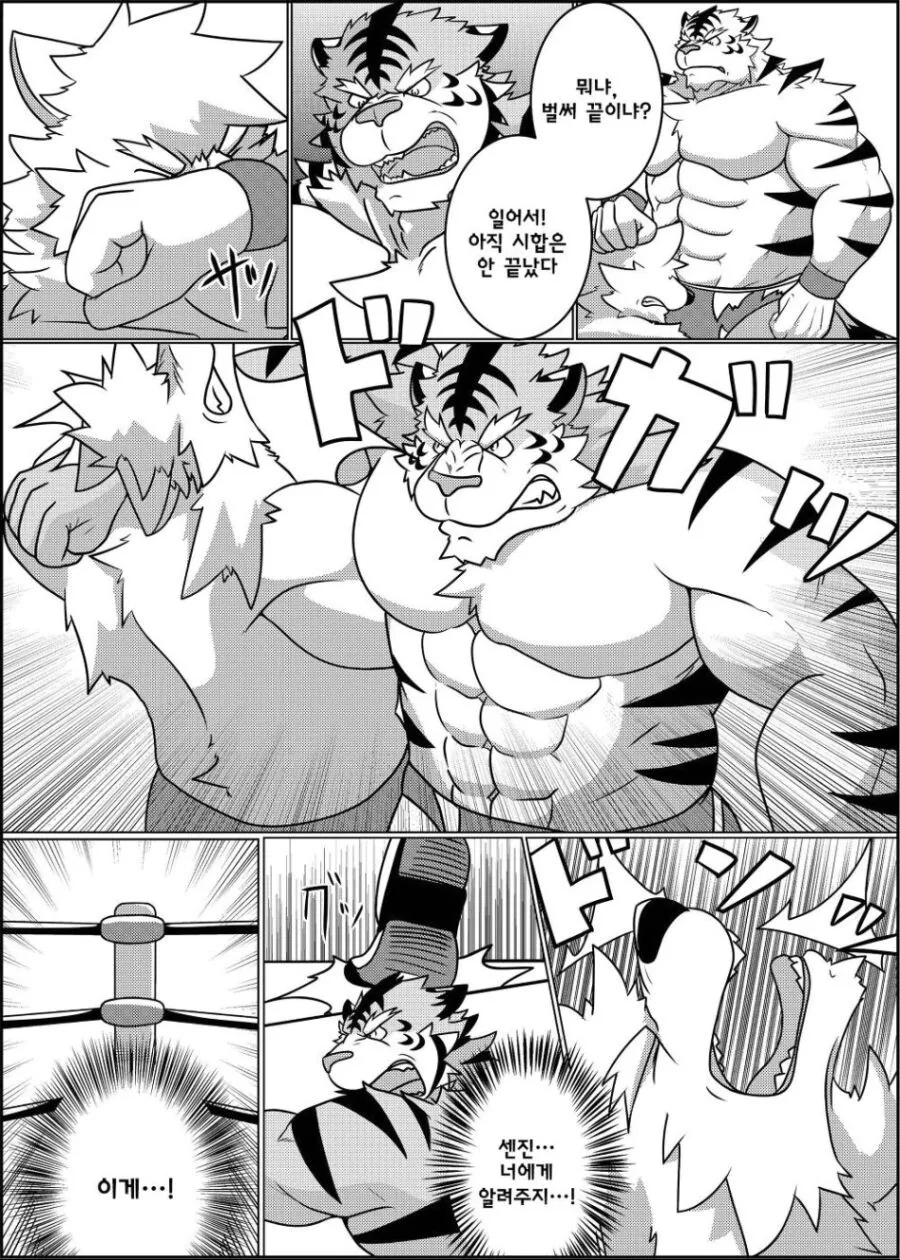 퍼리같고 ㅎㅁ같지만 평범한 레슬링 manhwa - 이미지 14