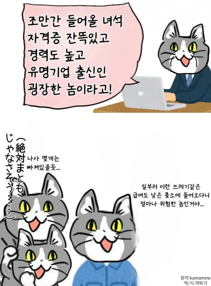 좋았쓰 고양이 만화 - 이미지 3