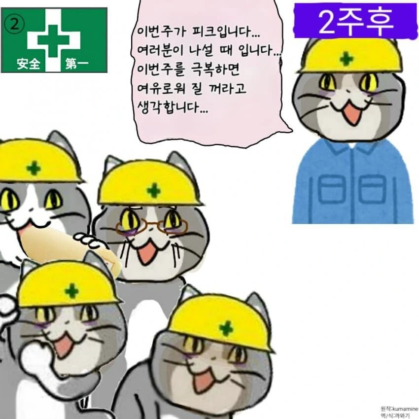 좋았쓰 고양이 만화 - 이미지 10