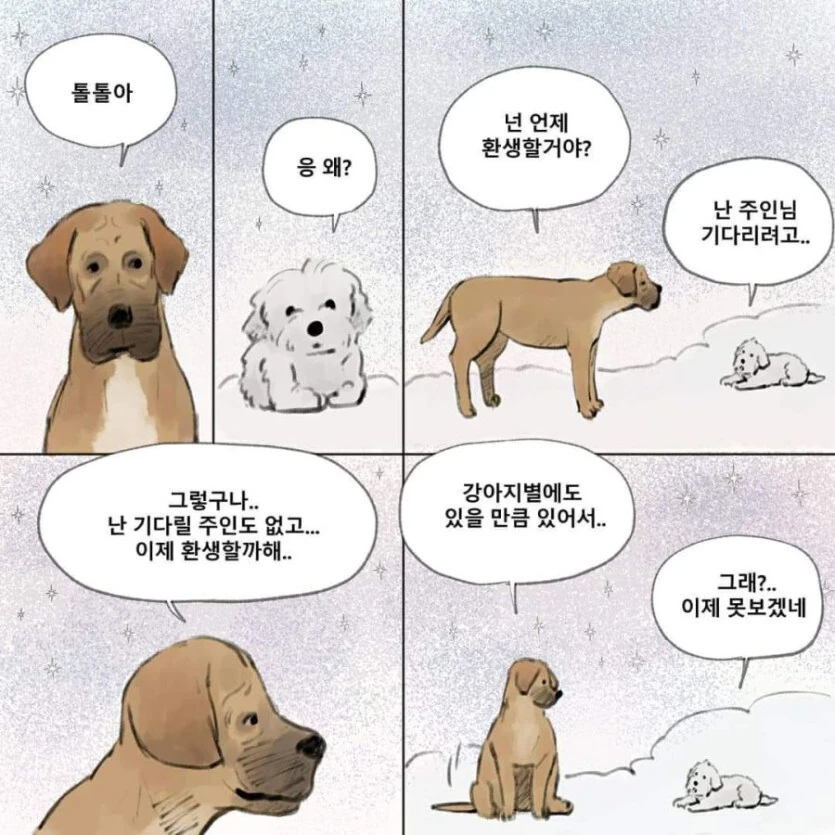 하늘나라에서 주인을 기다리는 강아지