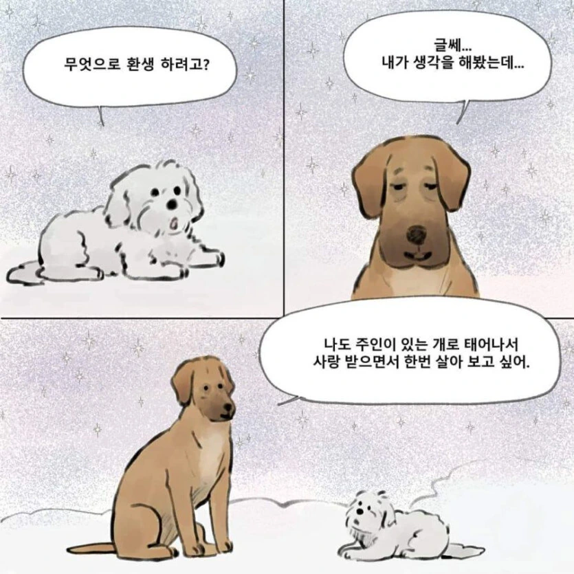 하늘나라에서 주인을 기다리는 강아지 - 이미지 2