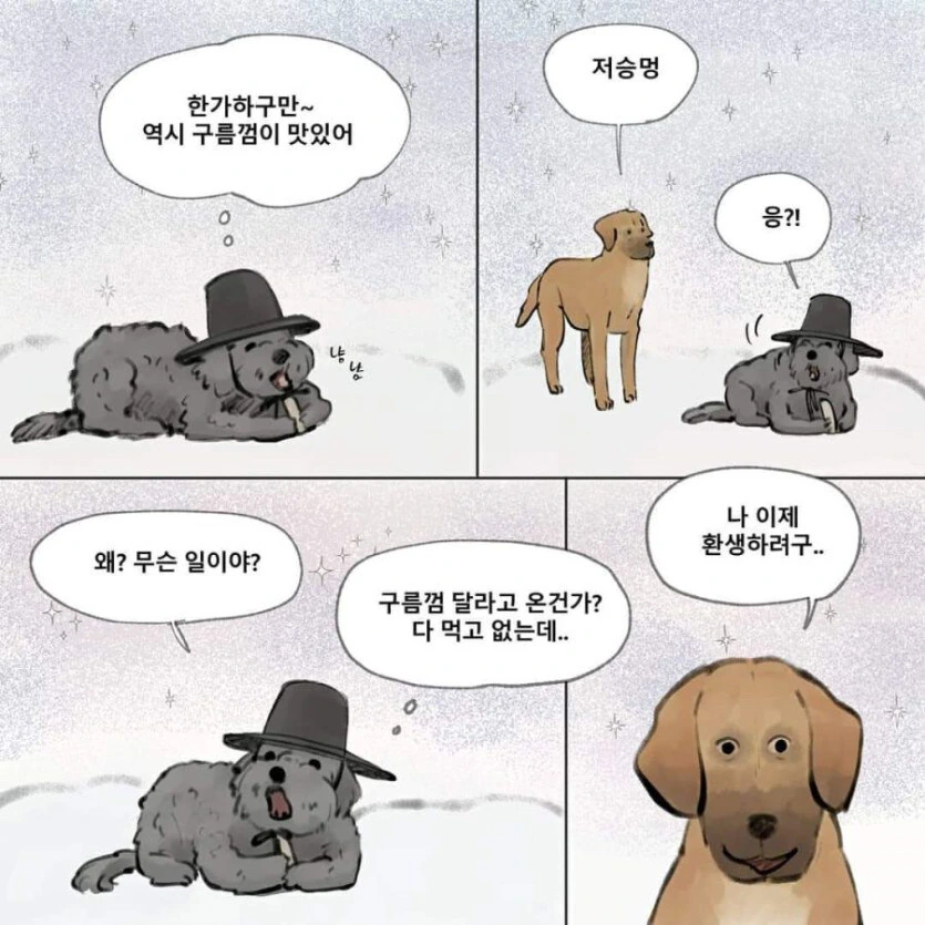 하늘나라에서 주인을 기다리는 강아지 - 이미지 4