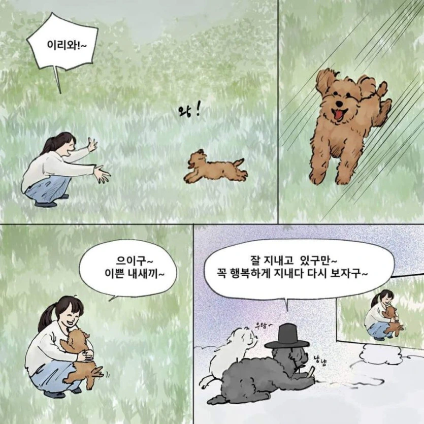하늘나라에서 주인을 기다리는 강아지 - 이미지 8