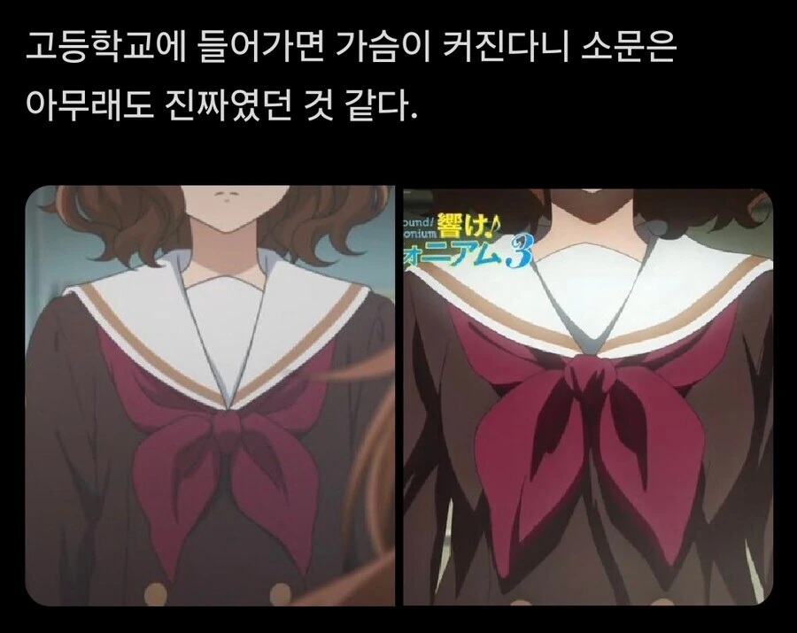 애니] 뭐? 고등학생때 성장 한다고?