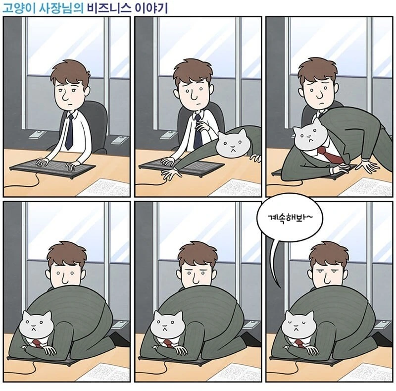 고양이 사장님.manwha - 이미지 5