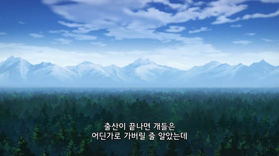 유유자적농가]개들이 찾아왔다! - 이미지 4