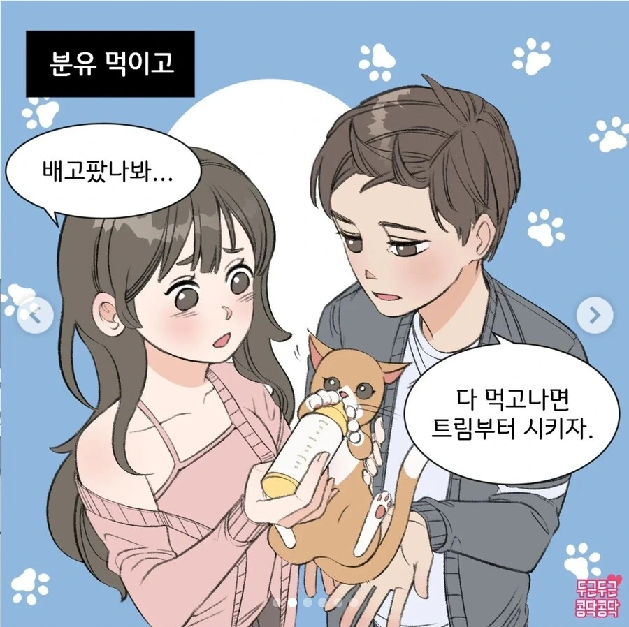 여친이랑 같이 고양이키우는 만화.manga - 이미지 2