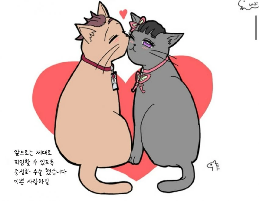 귀멸)(고양이) 탄지로와 카나오가 ㄱㅁ하고 아이를 낳는 만화 - 이미지 7