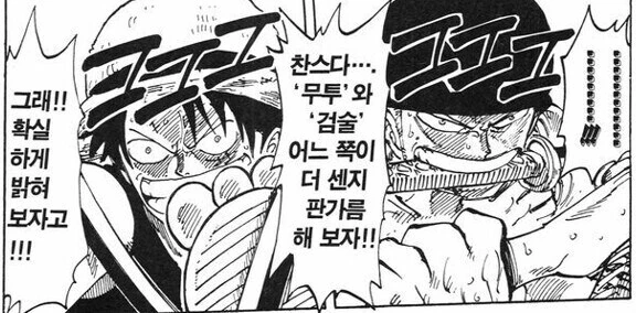 원피스) 의외로 진지하게 패왕색 가능성이 점쳐지고 있는 놈.jpg - 이미지 7