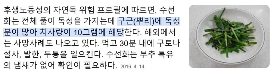 약사의혼잣말) 마오마오가 수선화에 환장하는 이유 - 이미지 3