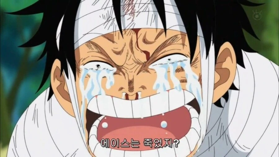 원피스) 루피 인생 최고의 흑역사 ㅋㅋ .. JPG - 이미지 3