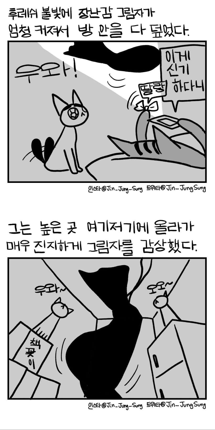 고양이의 시네마 천국.manwha - 이미지 3