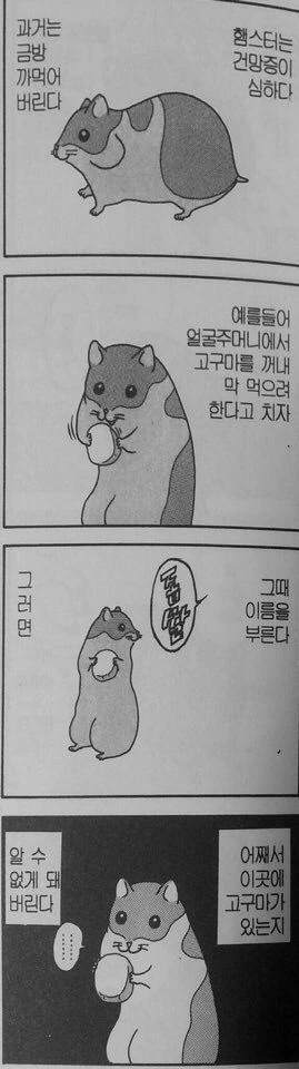 햄스터의 건망증에 대한.manhwa