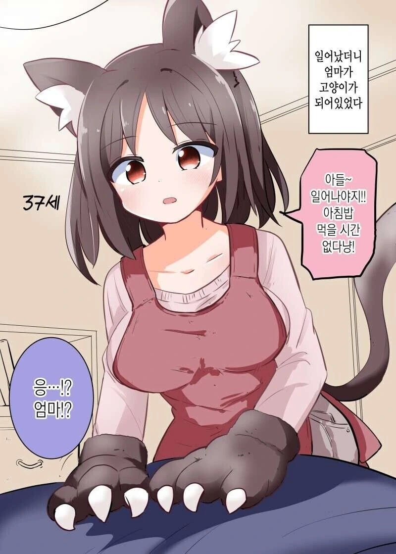 일어났더니 엄마가 고양이가 되어있었다.manwha
