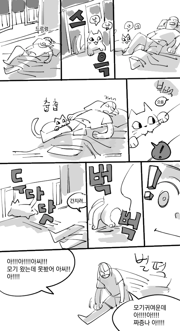 모기가 고양이로 변한 세계 Manhwa
