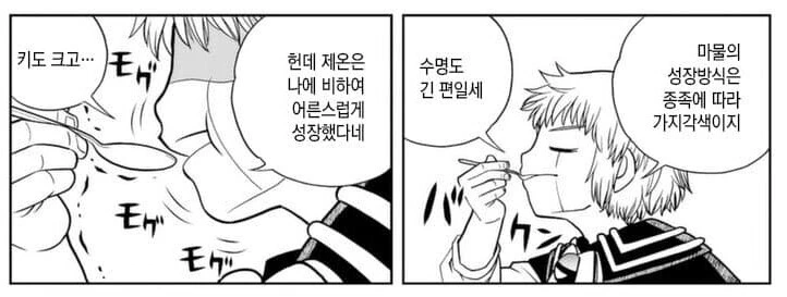 갓슈2) 보면 가장 대단한 새끼 - 이미지 3