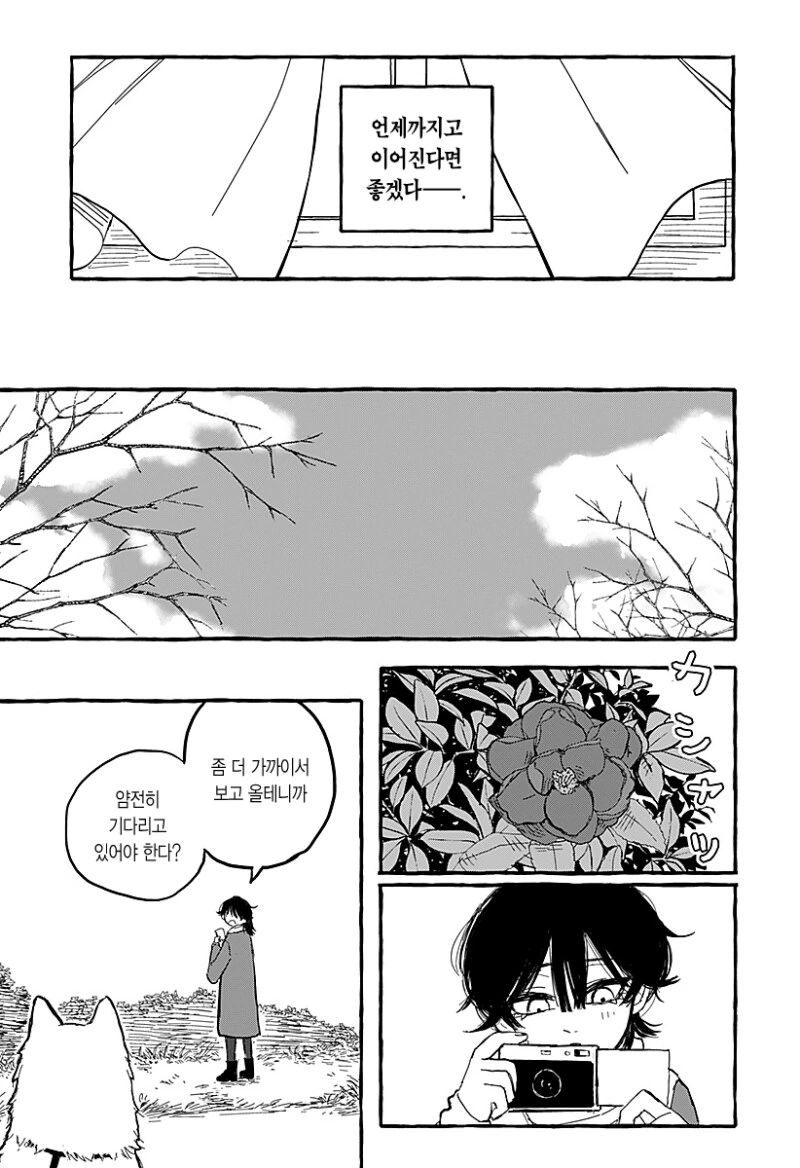 아오이의 방에 다시금 봄이 찾아왔다 만화 .manhwa - 이미지 23