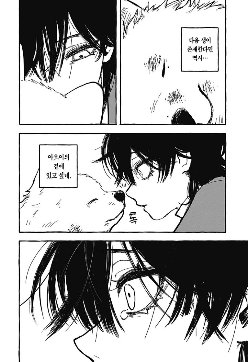 아오이의 방에 다시금 봄이 찾아왔다 만화 .manhwa - 이미지 36