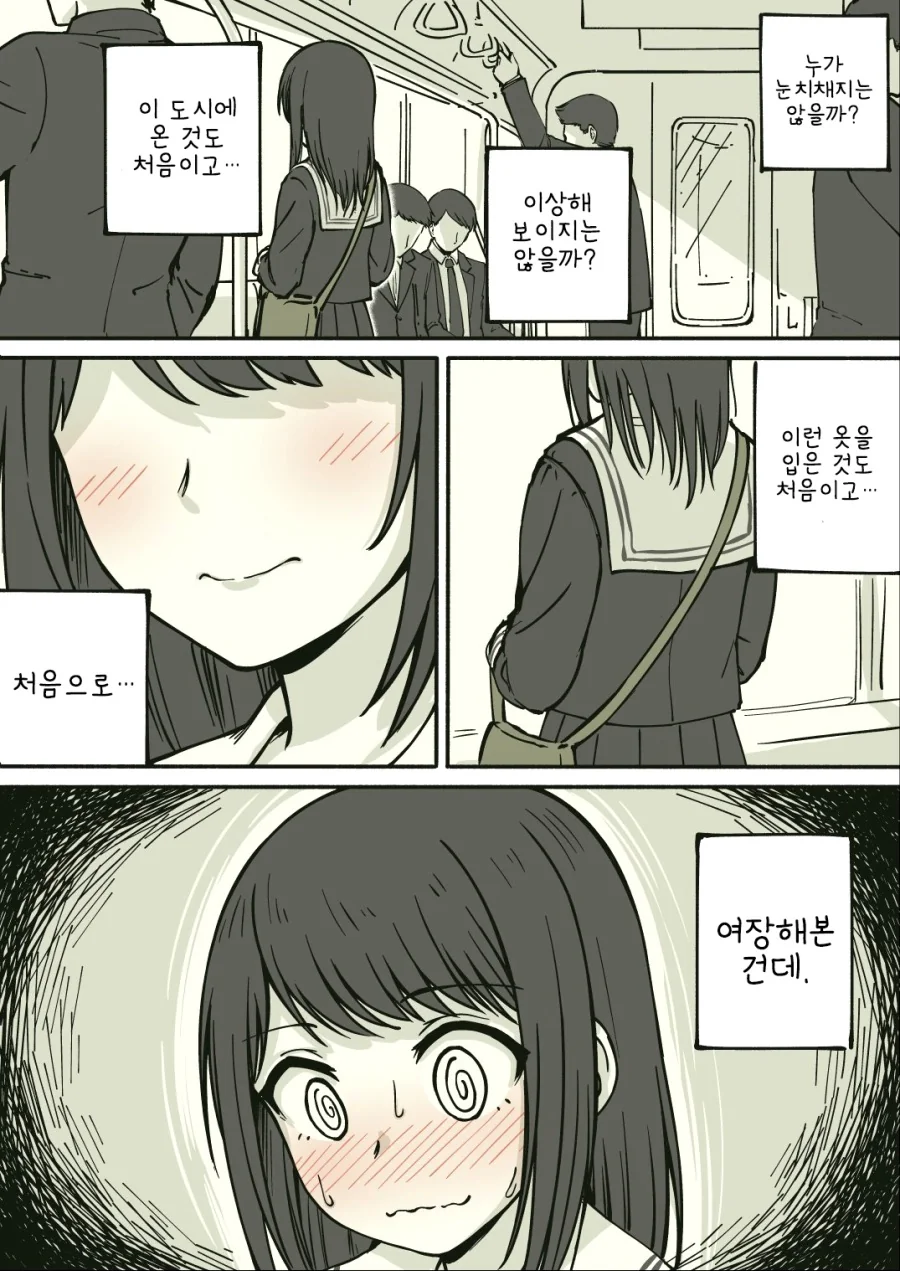 여장하고 지하철 탔다가 남자화장실가는 만화