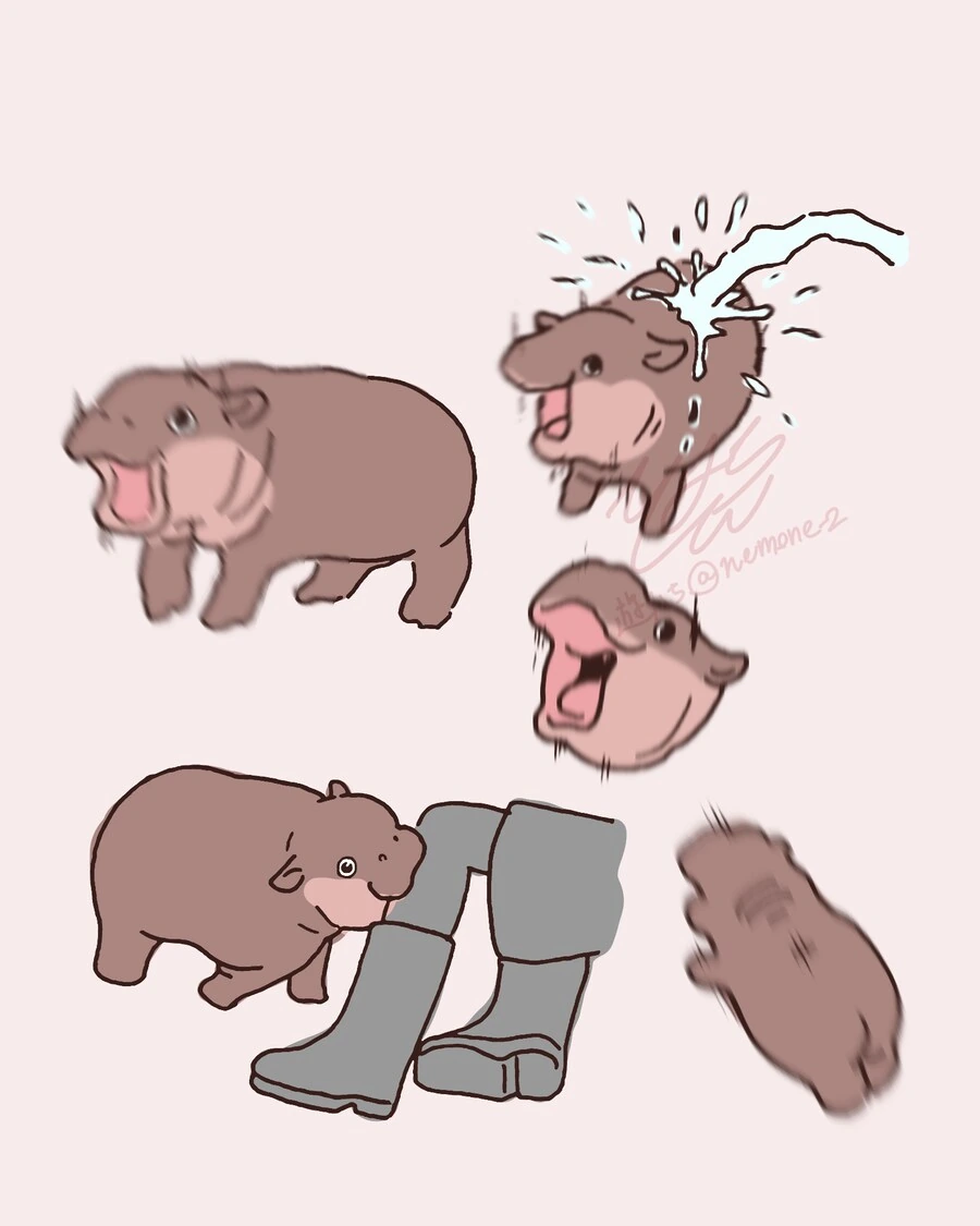 귀여운 새끼하마