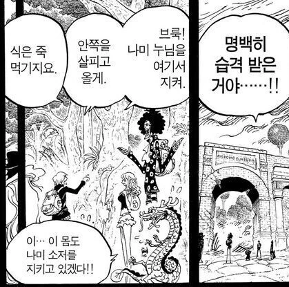 원피스) 밀짚모자 일당의 명령체계.manga - 이미지 6
