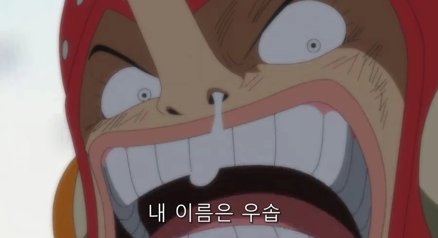 원피스) 능력도 있고 할 때는 하는 우솝