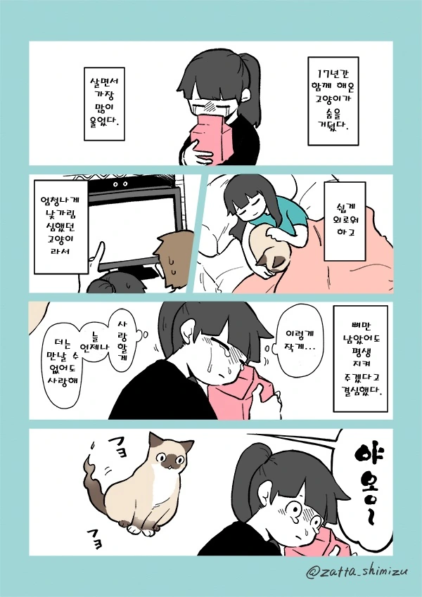 죽은 고양이가 보이는 만화