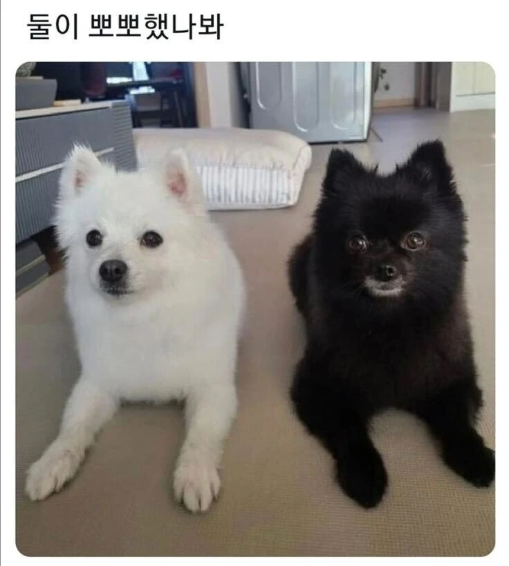 &#034;둘이 했나 봐...&#034;.jpg