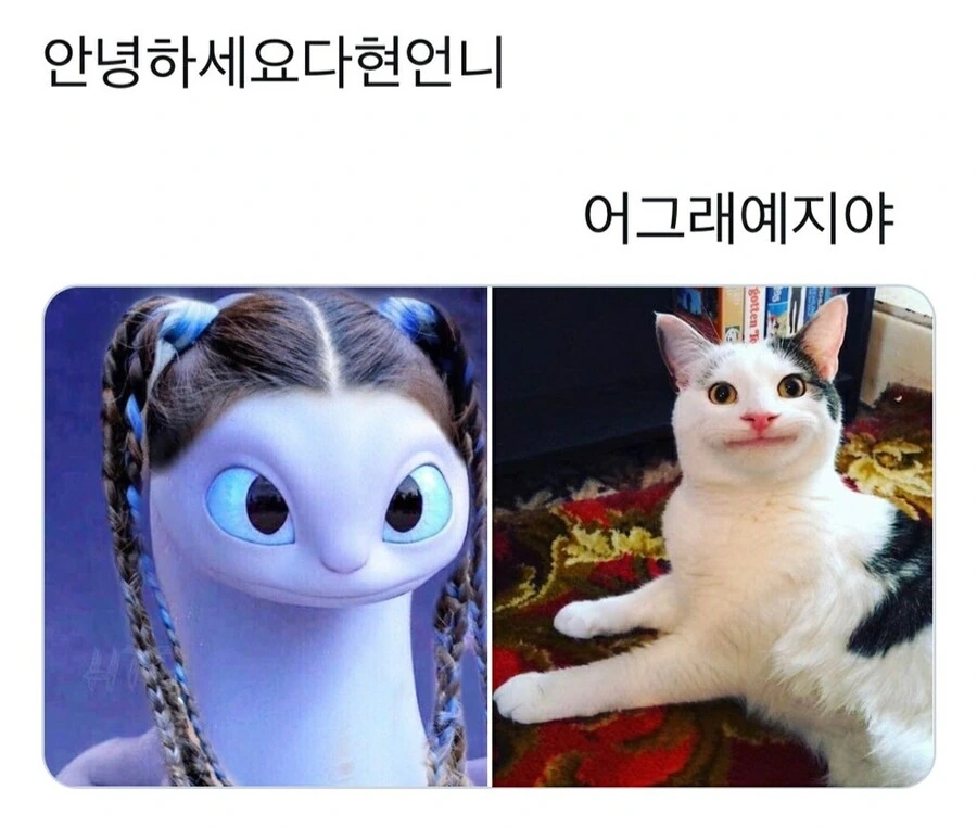 케이팝) 이거 보고 트와이스 다현 생각했음.ㅋㅋ - 이미지 2