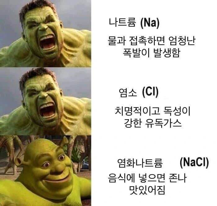 불의 왕과 독가스의 여왕이 결혼했다.manga