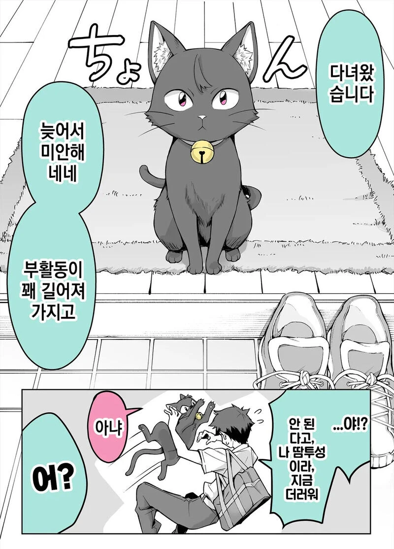 주인을 너무 좋아하는, 반려고양이.manhwa