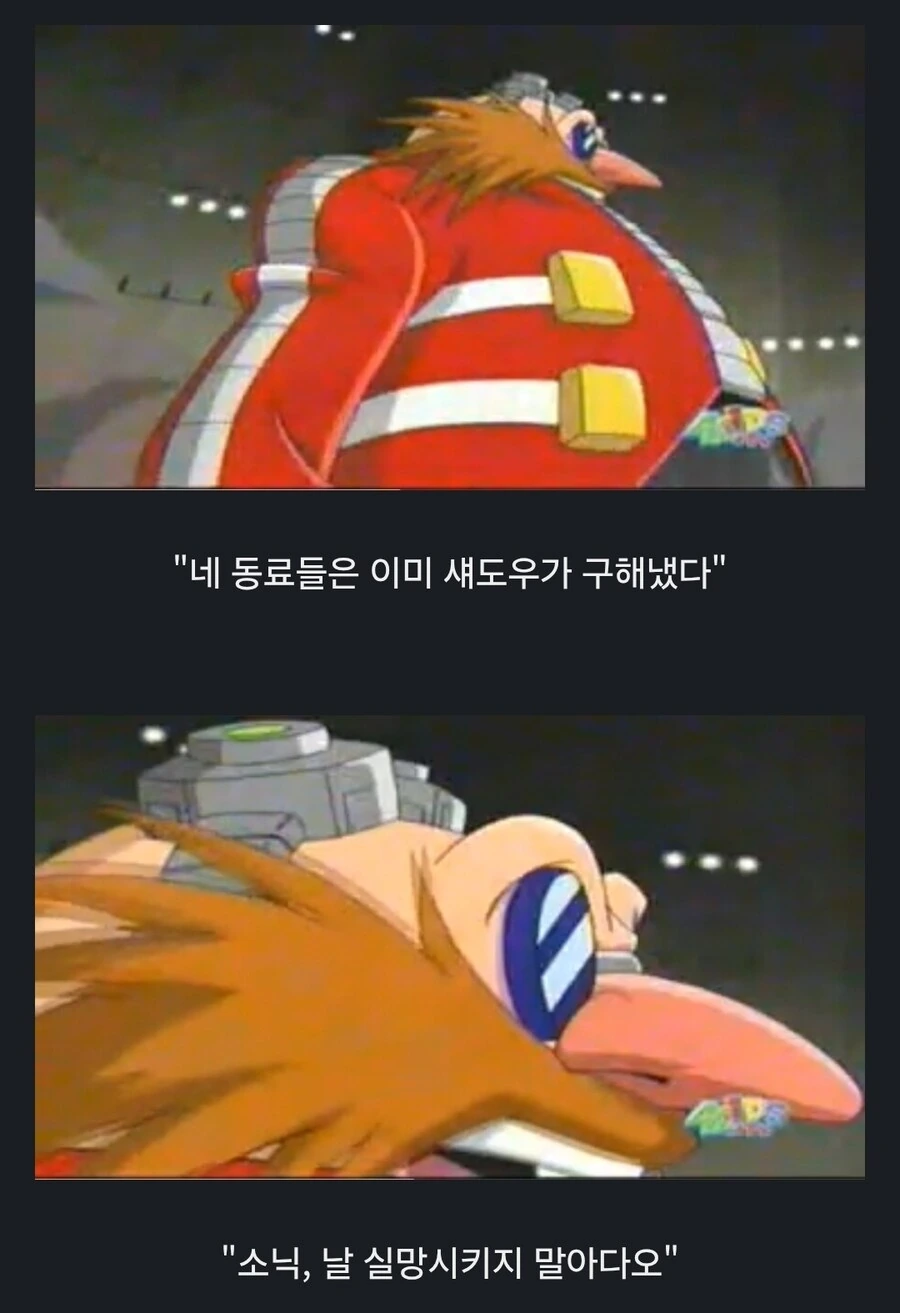 소닉) 의외로 폭주한 소닉을 진정 시킬 수 있는 사람 - 이미지 2