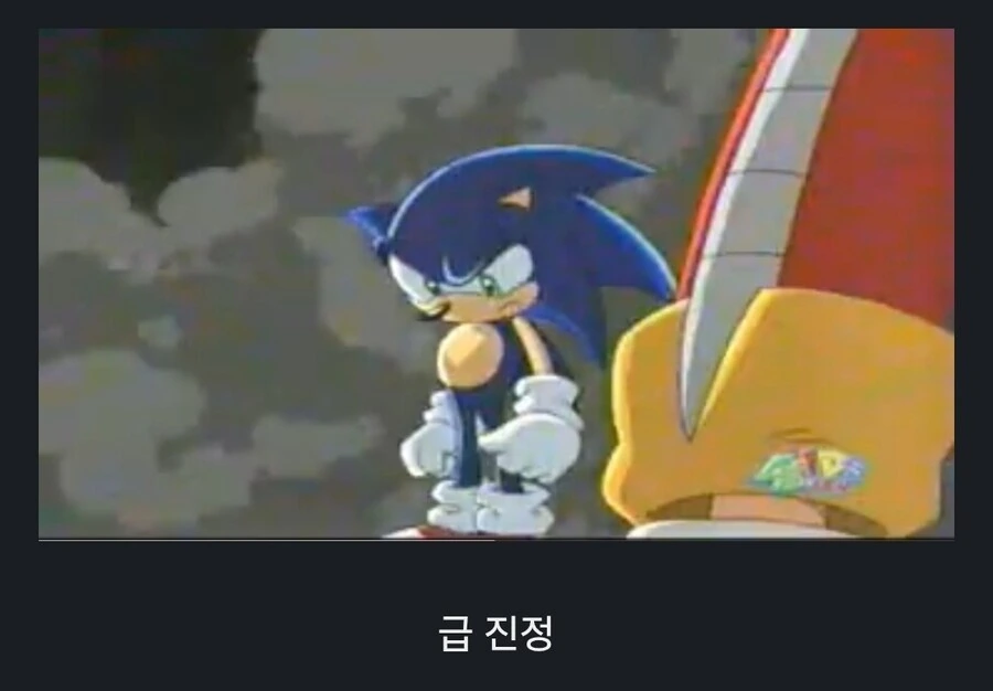 소닉) 의외로 폭주한 소닉을 진정 시킬 수 있는 사람 - 이미지 3