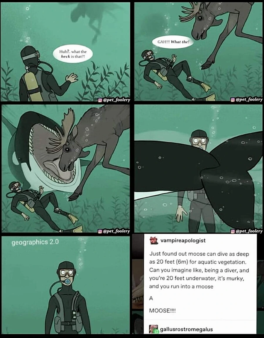 어느 외국 스쿠버다이버의 충격 실화.manhwa