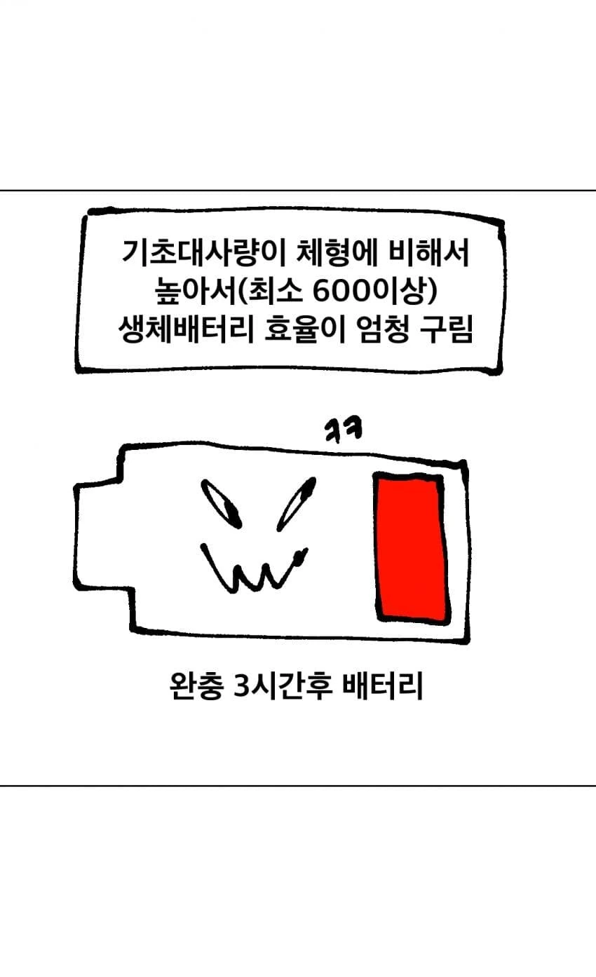 멸치인간 식습관 패턴 만화.manwha - 이미지 4