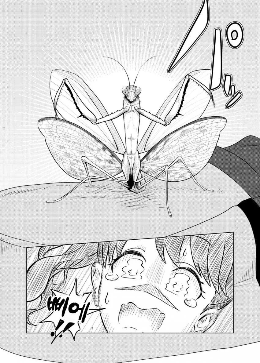 사마귀랑 싸우는 히구치 마도카 .manhwa - 이미지 5