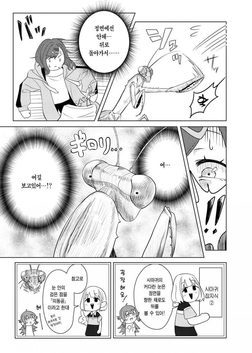 사마귀랑 싸우는 히구치 마도카 .manhwa - 이미지 8