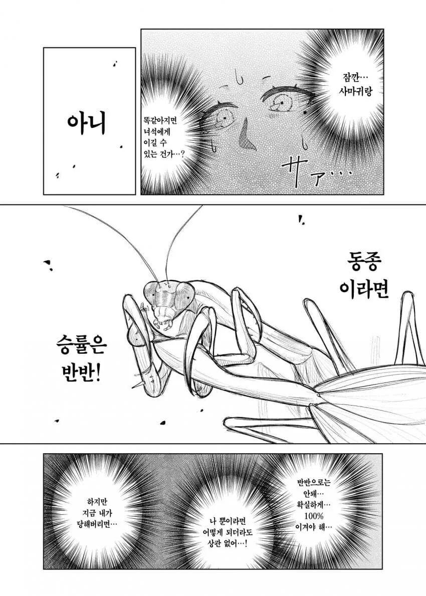 사마귀랑 싸우는 히구치 마도카 .manhwa - 이미지 11