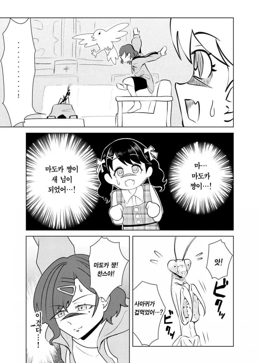 사마귀랑 싸우는 히구치 마도카 .manhwa - 이미지 14