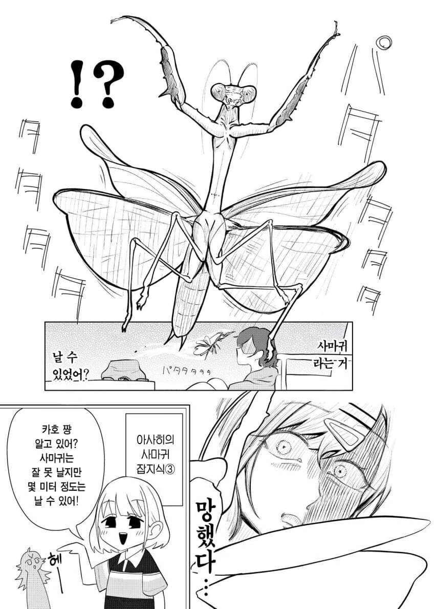 사마귀랑 싸우는 히구치 마도카 .manhwa - 이미지 16
