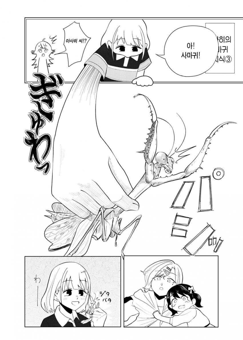 사마귀랑 싸우는 히구치 마도카 .manhwa - 이미지 17