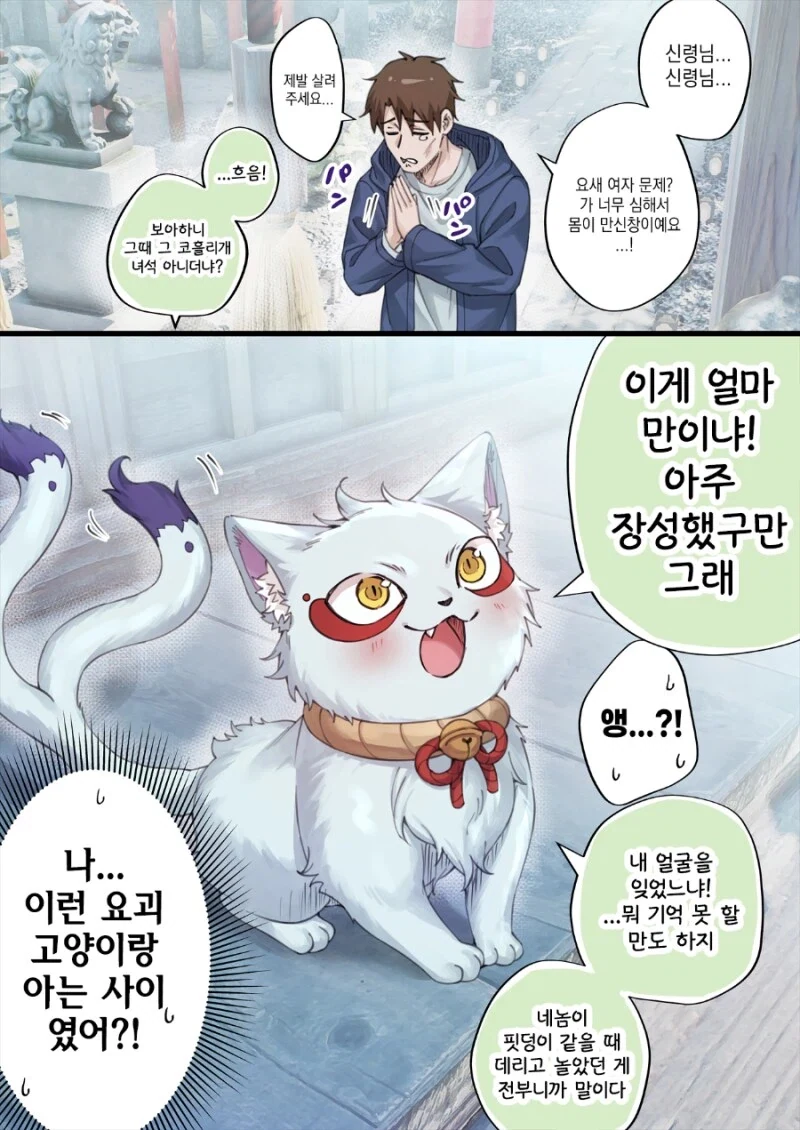 고양이 신령님에게 간택 받은.manwha