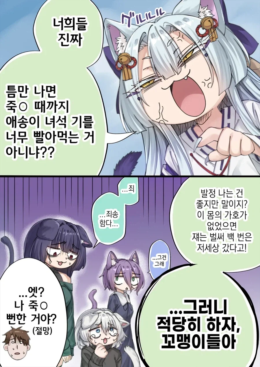 고양이 신령님에게 간택 받은.manwha - 이미지 10