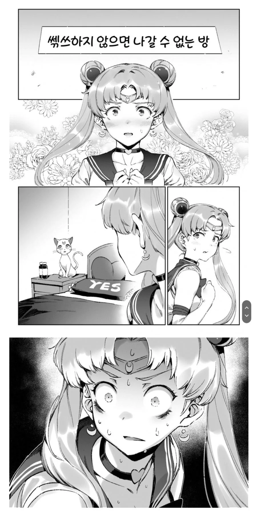 [세일러문]방에 갇히다
