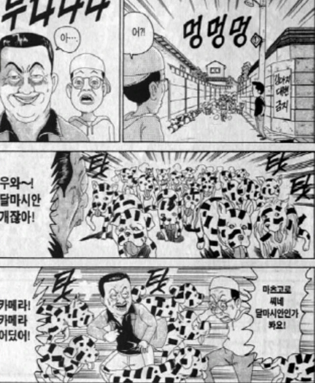 [괴짜가족]달마시안 군단이 나타났다 - 이미지 5