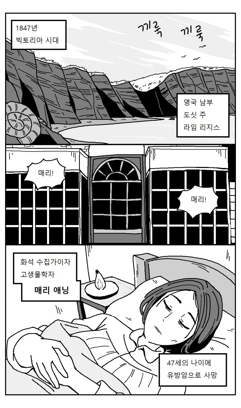 매리 애닝 여중생 환생 만화