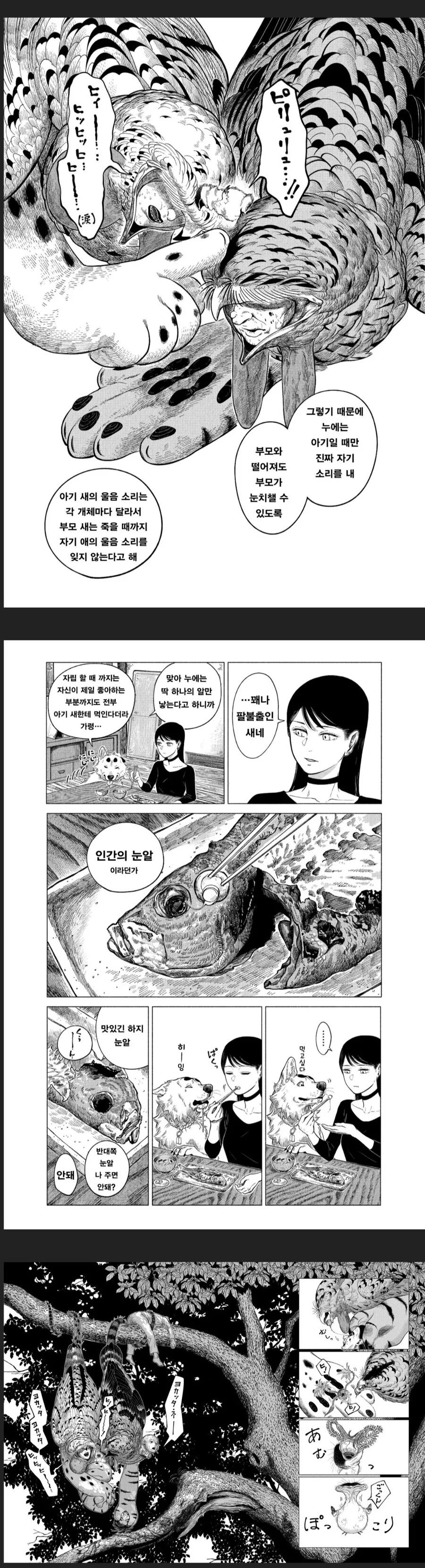 공포) 아기 새.manwha - 이미지 4
