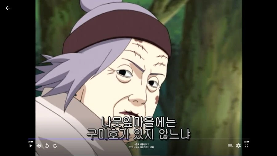 나루토]나뭇잎의 극비정보
